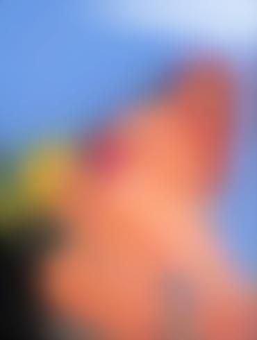 Big Booty Eating Molotov Cocktease