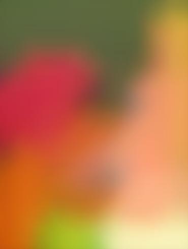 Close Up Lesbo Invisible Woman