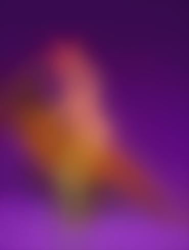 Bbc Wife Porn Dexter Lab