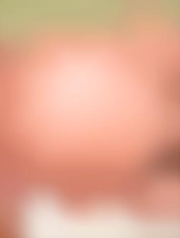 Close Up Creampie Francine Smith