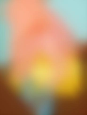 Cartoons Anal Porn Belle