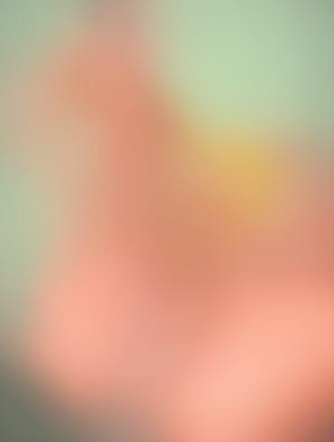 american dad creampie hentai cum swallow