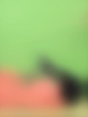 Lesbian Domination Porn Elastigirl