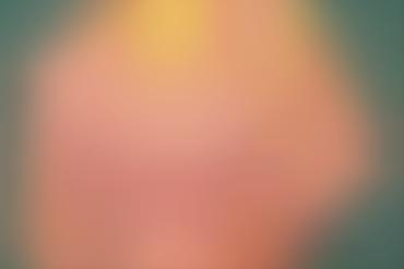 american dad sexy lingerie toon MILF seduction