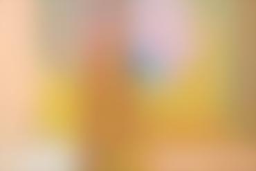 Homer Simpson