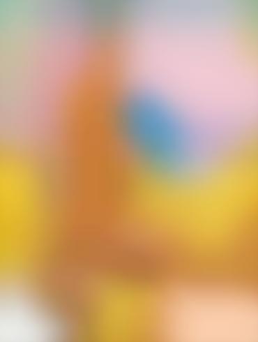 Homer Simpson