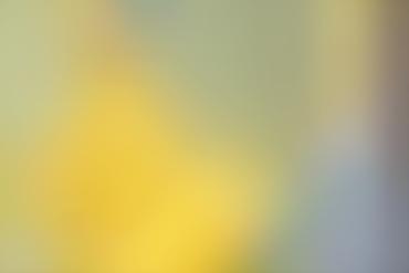 Marge Simpson