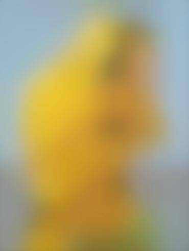 Interracial Swingers Manjula Simpsons