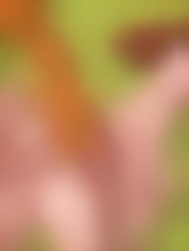 Porn Interracial Mature As Told By Ginger