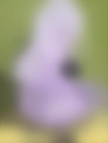 Thick Animated Porn Amethyst Steven Universe Naked Cartoon Ass