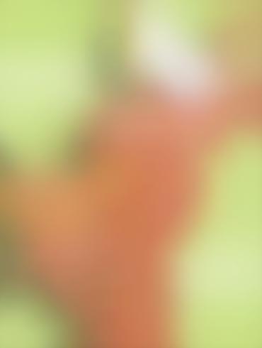 69 Naked Princess Jasmine