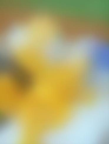 Lesbian Strap Porn Lindsey Naegle Simpsons Marge