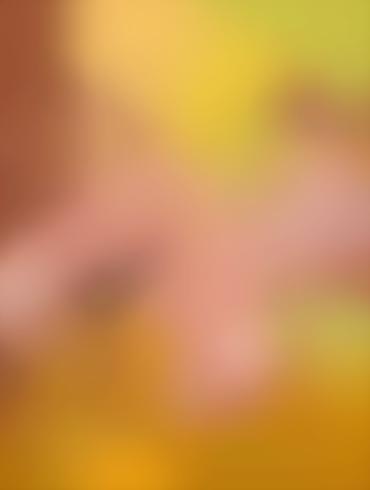 Bbc Spitroast Rugrats