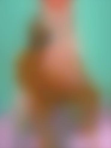 Wife Interracial Dexters Laboratory Cheating Hentais