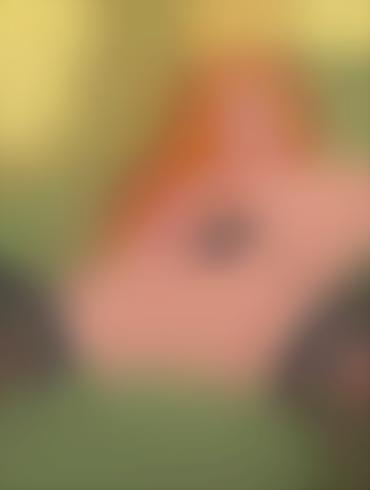 Futanari Cbt Gravity Falls Nude Cartoon