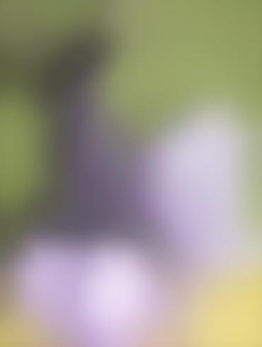 Nude High Heels Amethyst Rule 34 Stocking