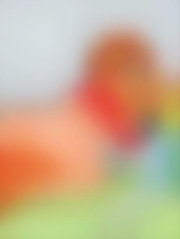 White Wife Bbc Miss Incredible