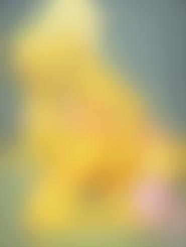 Lesbian Masturbating Lisa Simpson Lurleen Lumpkin