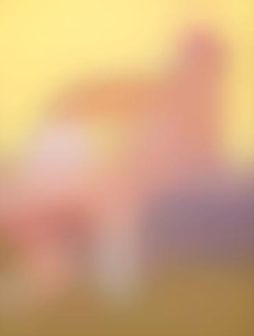 Connie Damico Megan Griffin