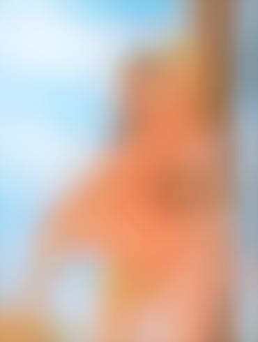 Bdsm Interracial Porn Pocahontas