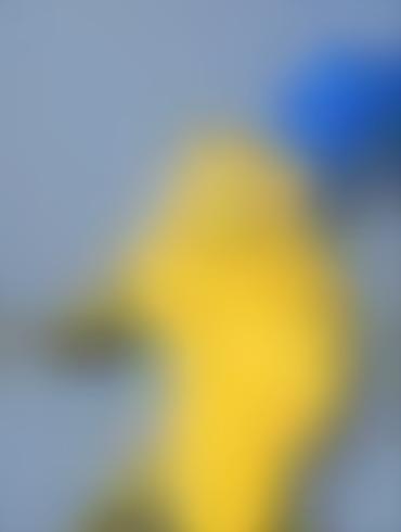 Naked Creampies Marge