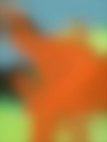 Toon Porn Black Princess And The Frog