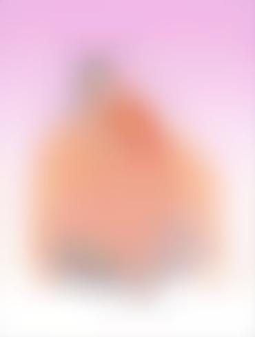 Cheating Hubby Porn American Dad