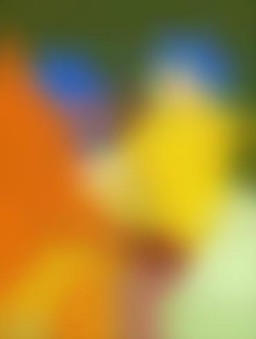 Bbc Blacked Luann Van Houten