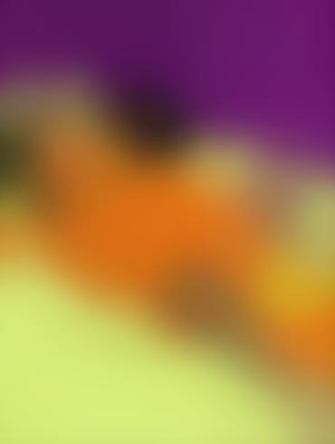 Apu Simpsons Manjula Nahasapeemapetilon