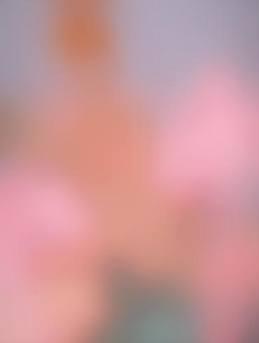 King Of The Hill Peggy