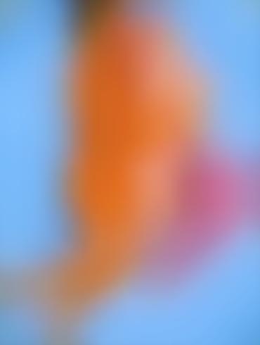 Cartoon Anal Pictures Cleveland Show