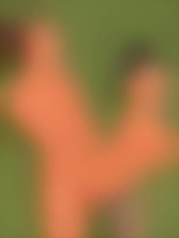 mulan assfucking milf asian xxx