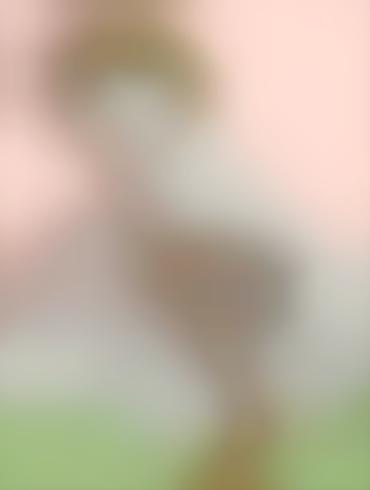 Facesit Handjob Frankenweenie