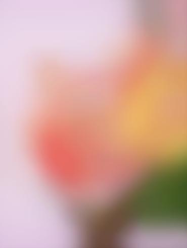 Erotic Spanking American Dad