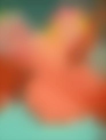 Ebony Anal Bbc Princess And The Frog