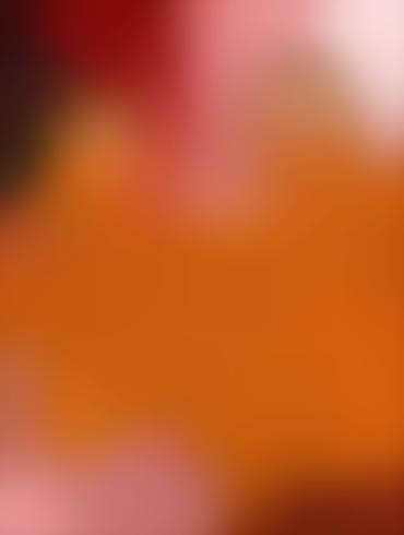 Black Porn Bbc South Park