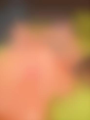 Granny 69 Lady Tremaine